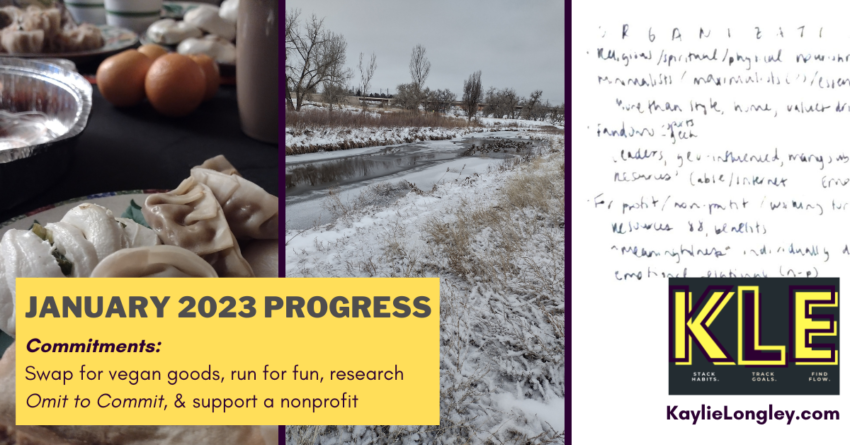goals in progress January 2023 | Kaylie Longley